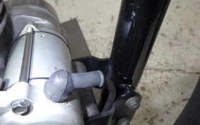 KAWASAKI ESTRELLA RS 1982 BJ250A