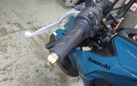 KAWASAKI Z125 PRO BR125H