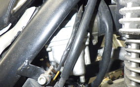 SCORPA TYS125F 2020