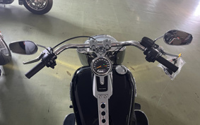 HARLEY FLFBS 2024 YGK