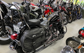 HARLEY FLSTC 2008 BW5