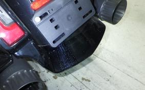 HARLEY FLTRX1920 2024