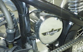 OTHER UNREGISTERED MODEL by BDS250