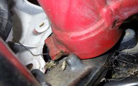 HONDA CRM80 GEN 1 2019 HD11