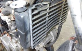 HONDA XELVIS MC25
