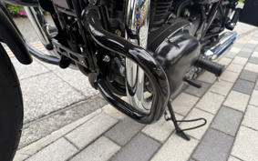 KAWASAKI W800 CAFE 2022 EJ800E