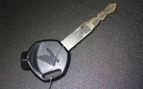 HONDA TACT-4ﾍﾞｰｼｯｸ AF75