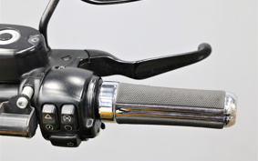 HARLEY XL883N 2016 LE2