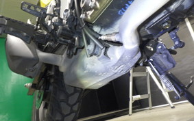 SUZUKI Vｽﾄﾛｰﾑ250SX 2022 EL11L