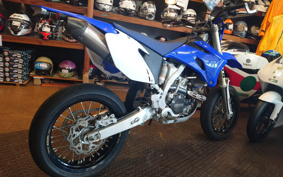 YAMAHA WR250F CG30