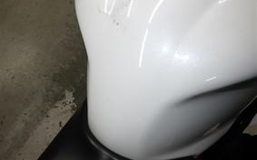 TRIUMPH DAYTONA 675 R 2015