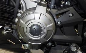 KAWASAKI Z125 PRO 2016 BR125H