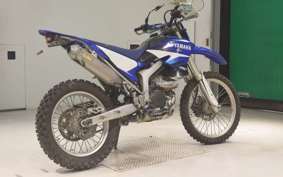 YAMAHA WR250R 2023 DG15J