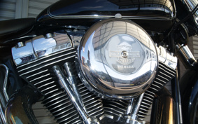 HARLEY FLSTC 2005 BJY