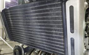 HONDA HORNET 250 MC31