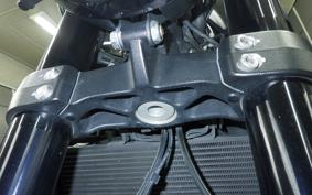 TRIUMPH TRIDENT 660 2023