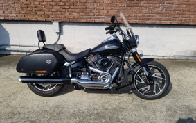 HARLEY  HARLEY FLSB 2020 YMJ