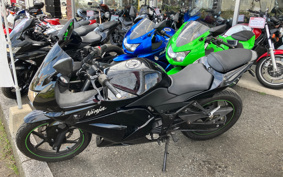 KAWASAKI NINJA 250R EX250K
