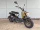 Фото Honda ZUMAR 2009 с японского аукциона