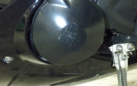 TRIUMPH DAYTONA 675 2009