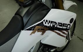YAMAHA WR250R DG15J