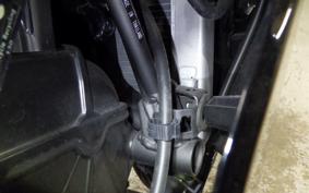 KAWASAKI NINJA 250 2