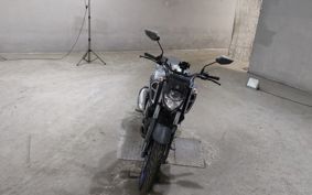 YAMAHA FZ1-S RG66