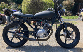 YAMAHA YBR125 PCJL
