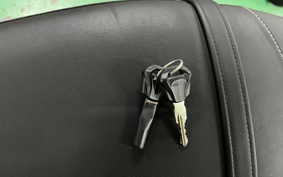 TRIUMPH SPEED TWIN 2019 DAD85H