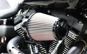 HARLEY FXDLS 2016 GS8