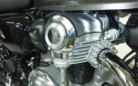 KAWASAKI W800 2025 EJ800E