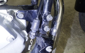 KAWASAKI ELIMINATOR 125 2025 BN125A