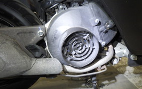 HONDA TODAY 2 2015 AF67