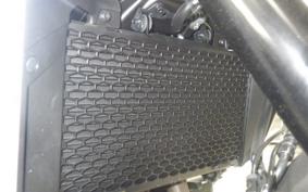 HONDA TRANSALP XL750 2025 RD16