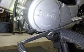 HONDA CL50 BENLY 2025 CD50
