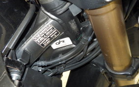 HONDA CRF250 RALLY LDA 2022 MD44