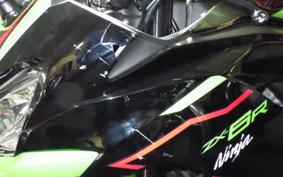 KAWASAKI NINJA ZX-6R A 2021 ZX636G