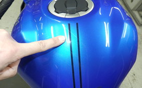 KAWASAKI ZX-4R SE 2024 ZX400P