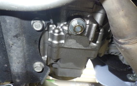 HONDA C125 SUPER CUB 2013 JA58