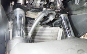 HONDA CBR400R 2021 NC56