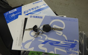 YAMAHA YZF-R3 2021 RH13J