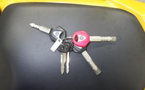 YAMAHA FZ1 FAZER 2008 RN21J