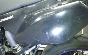 KAWASAKI KLX250D TRACKER X 2021 LX250V