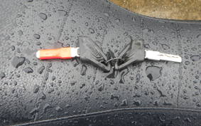 DUCATI SCRAMBLER ICON 2015