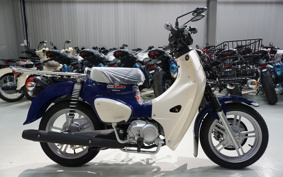 HONDA C110 SUPER CUB PRO 2024 JA61