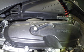 HONDA ﾀﾞﾝｸ 2023 AF78