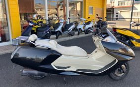 YAMAHA MAXAM 250 SG21J