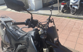 YAMAHA WR250X DG15J