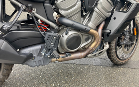 HARLEY PAN AMERICA 1250 2021 ZDS