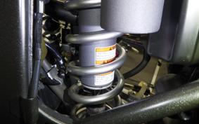 KAWASAKI KLX250D TRACKER X 2017 LX250V